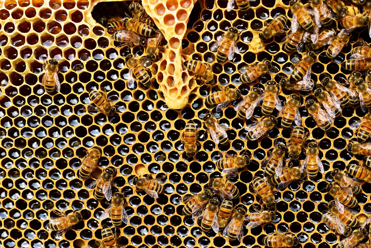 API連携の方法を初心者でもわかりやすく解説しますか？