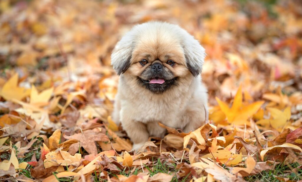 クイック入金を利用した仮想通貨の手数料はどのくらいかかる？