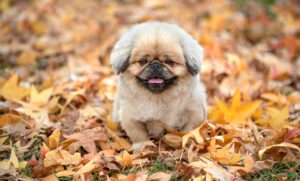 出金手数料の比較で最適な選択肢はどれですか？