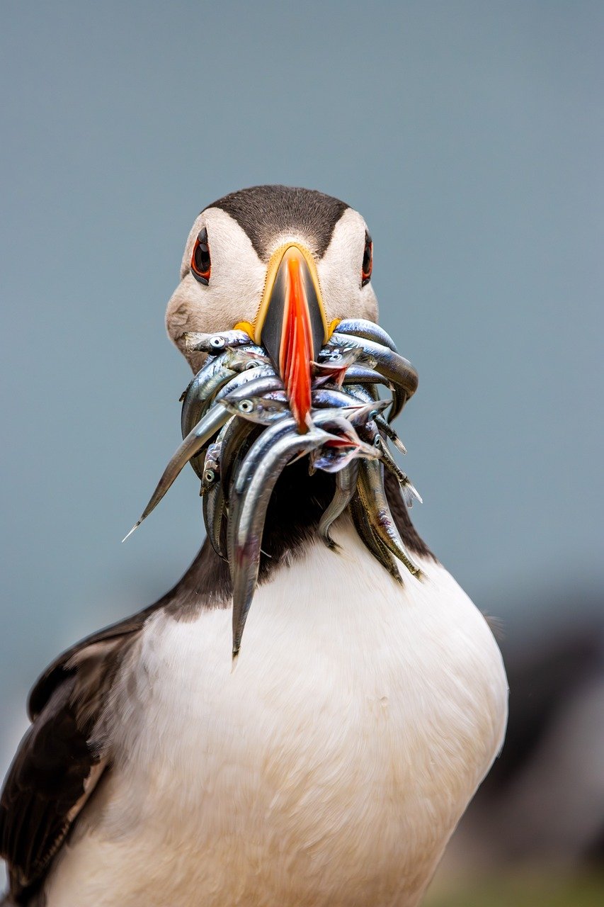 FX円建て自動ツールを使って利益を上げる方法は？