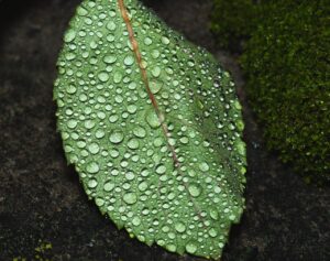 入金はいつ反映されるのか？